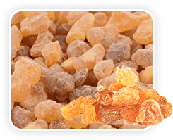 Boswellia