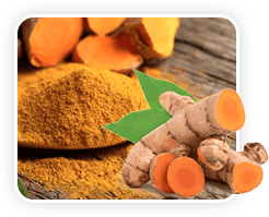 Curcumin (from Turmeric)