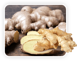 Ginger