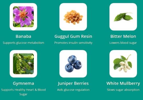 RegenVive Ingredients